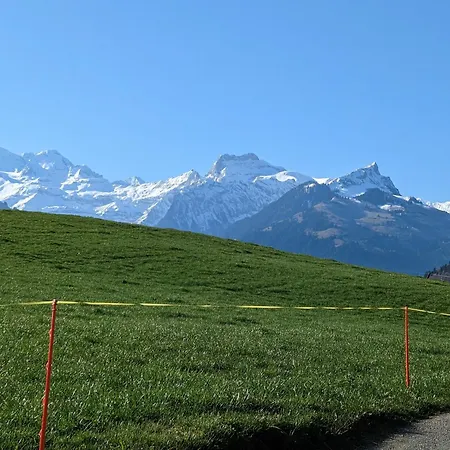 Mutschli Apartment Aeschi Bei Spiez