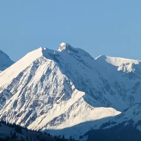 Mutschli Aeschi Bei Spiez