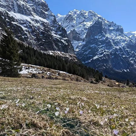 Mutschli Apartamento *