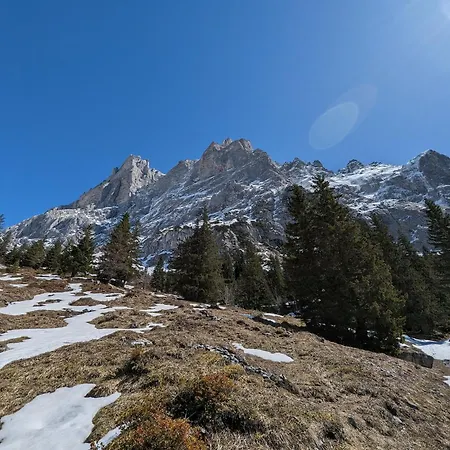 Mutschli * Aeschi Bei Spiez